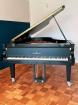 Schimmel Flügel Modell C 205 Jahrgang 1985. Top gepflegt